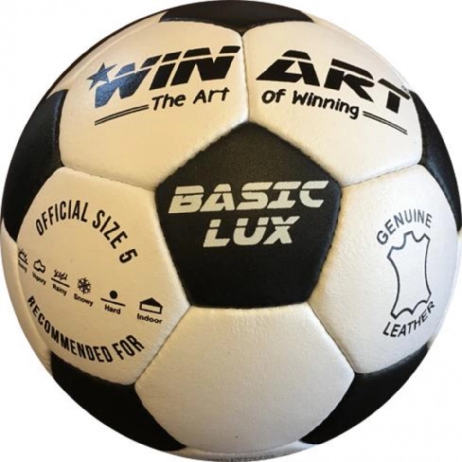 Winart Basic Lux minge fotbal din piele demo